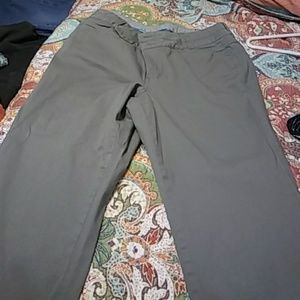 LANE BRYANT Boot cut dress pants